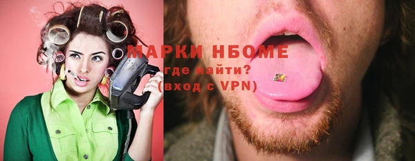 ешки Горняк