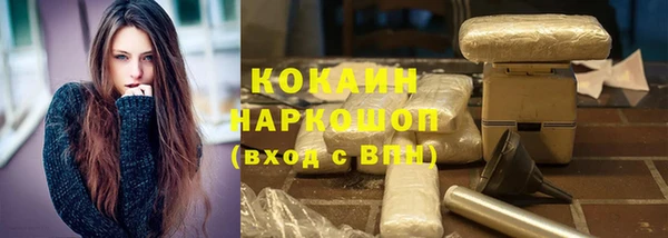 ПСИЛОЦИБИНОВЫЕ ГРИБЫ Горно-Алтайск