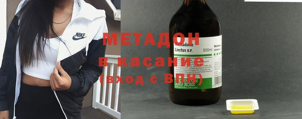 ПСИЛОЦИБИНОВЫЕ ГРИБЫ Горно-Алтайск