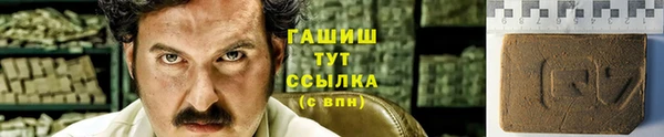 ПСИЛОЦИБИНОВЫЕ ГРИБЫ Горно-Алтайск