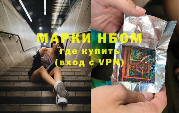 ПСИЛОЦИБИНОВЫЕ ГРИБЫ Горно-Алтайск