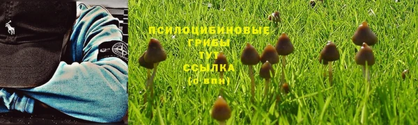 ешки Горняк