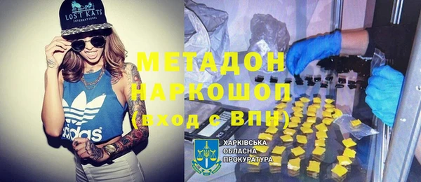 ПСИЛОЦИБИНОВЫЕ ГРИБЫ Горно-Алтайск