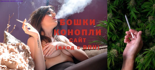 ешки Горняк