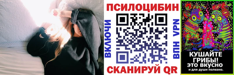 Псилоцибиновые грибы Psilocybe Элиста