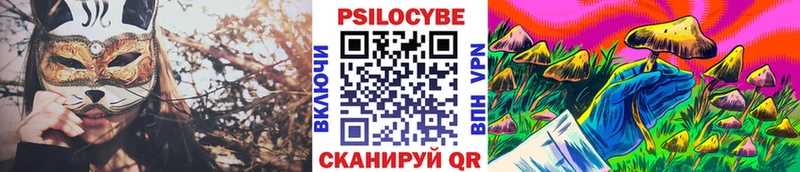 KRAKEN зеркало Элиста Галлюциногенные грибы Magic Shrooms купить